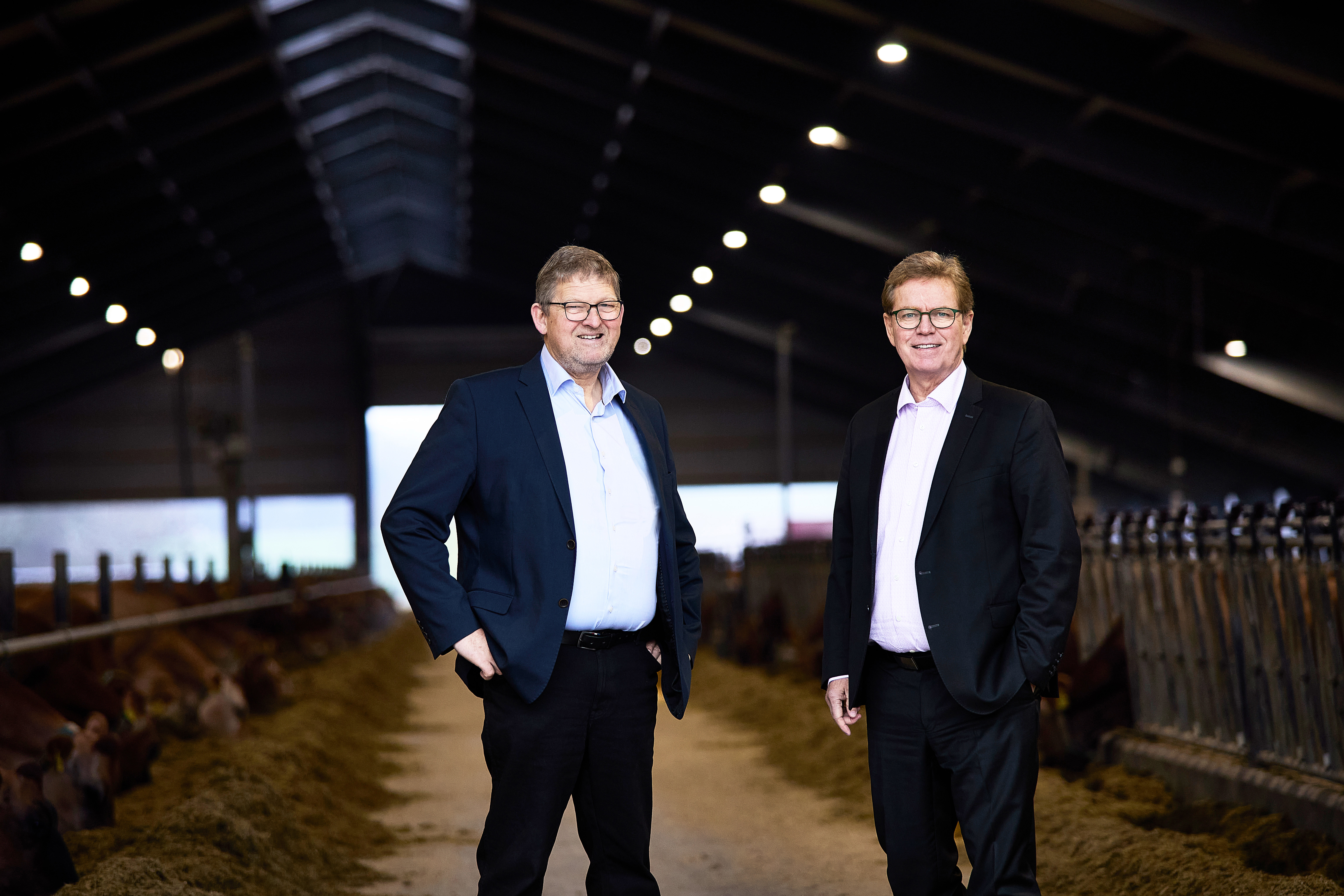 Letters from our Chair and CEO