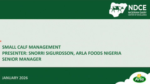 Small Calf Management