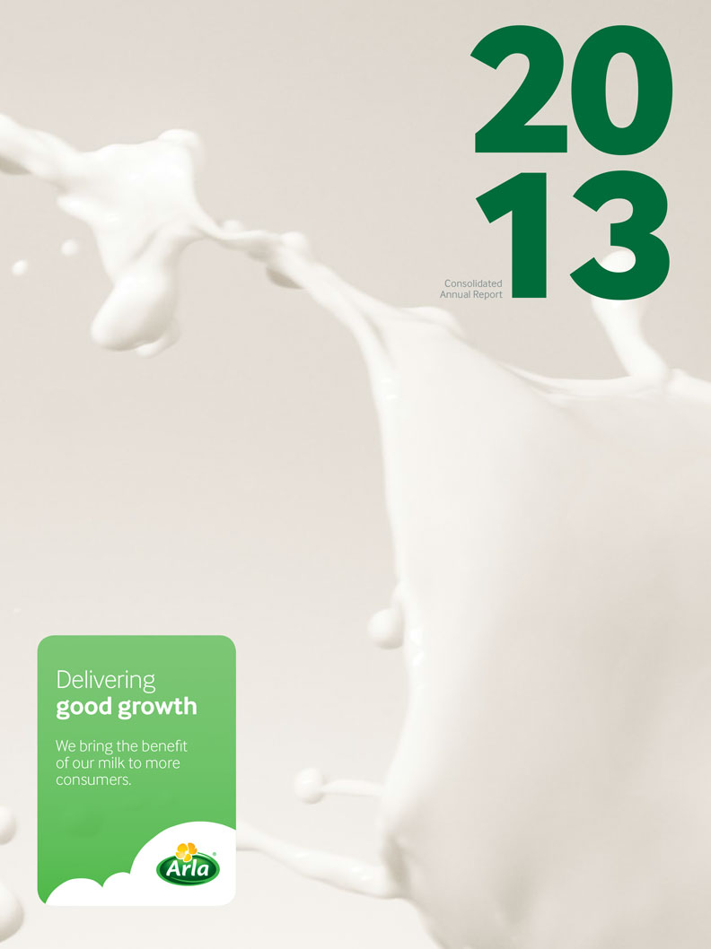 Annual Report 2013