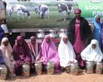  Arla Foods Distributes Milk Cans To Local Dairy Farmers In Kaduna To Boost Nigerian Milk Quality