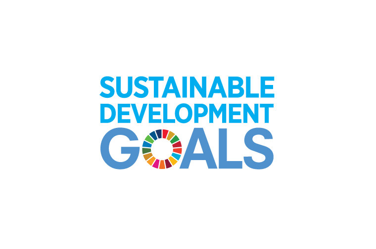 Graphic of UN goals