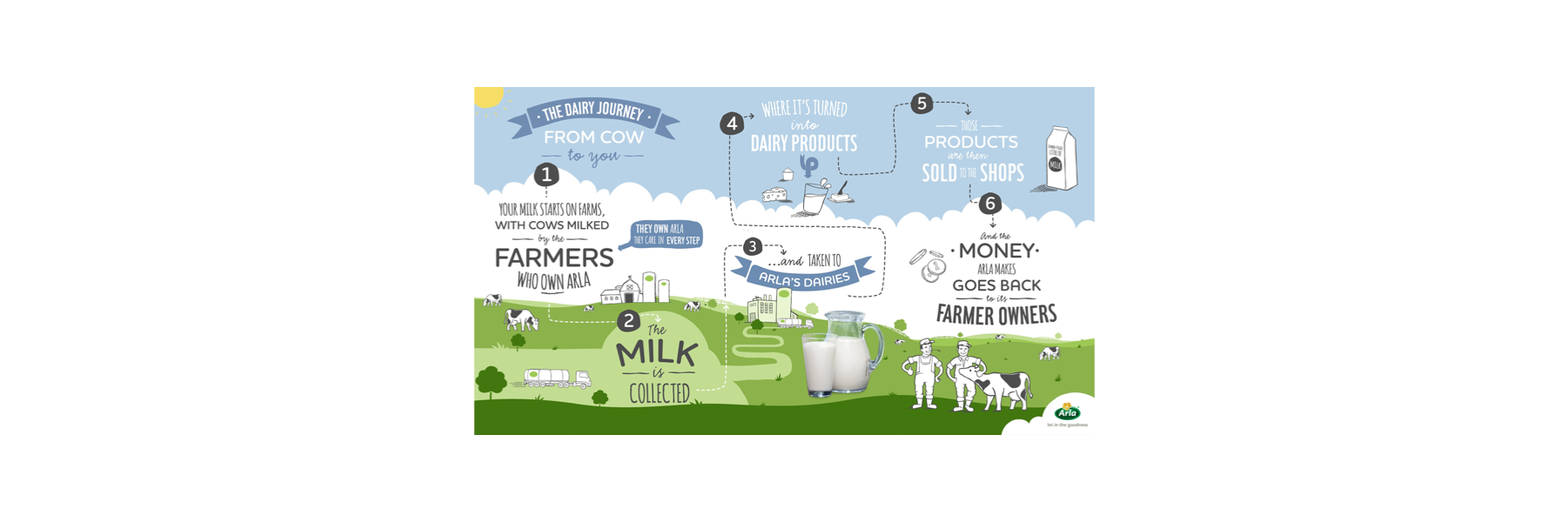 Infographic of the dairy journey
