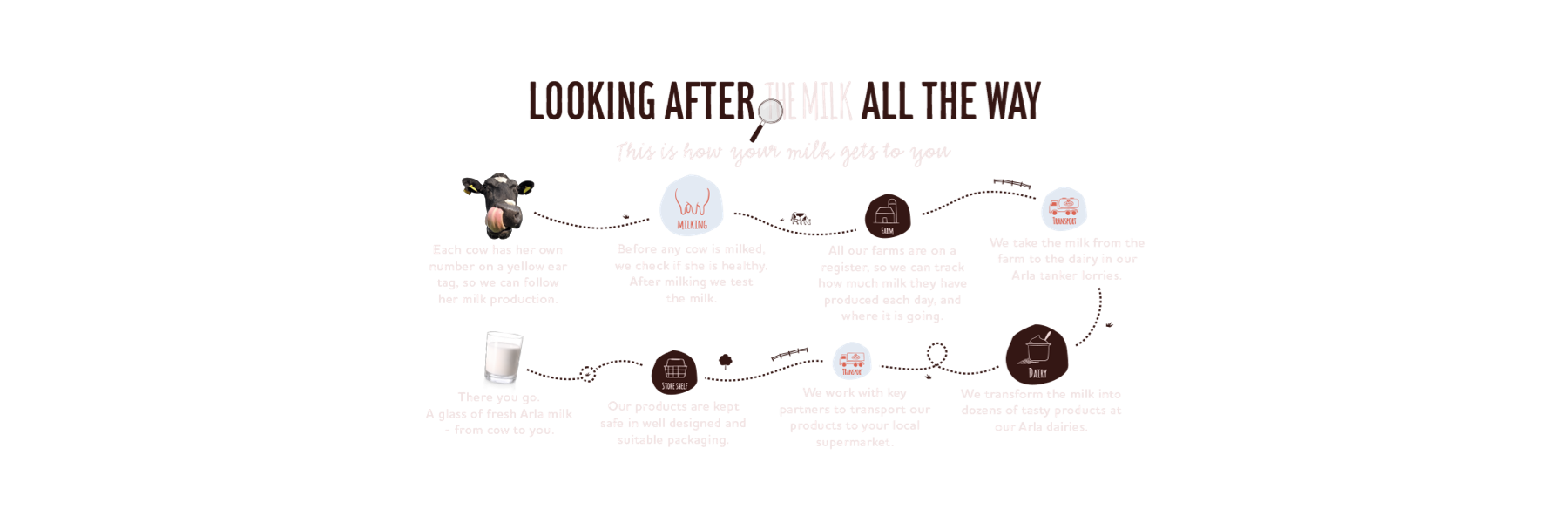Infographic of how milk gets to you