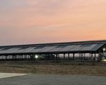 Arla Dairy Development Newsletter, Issue 2, Q1 2024