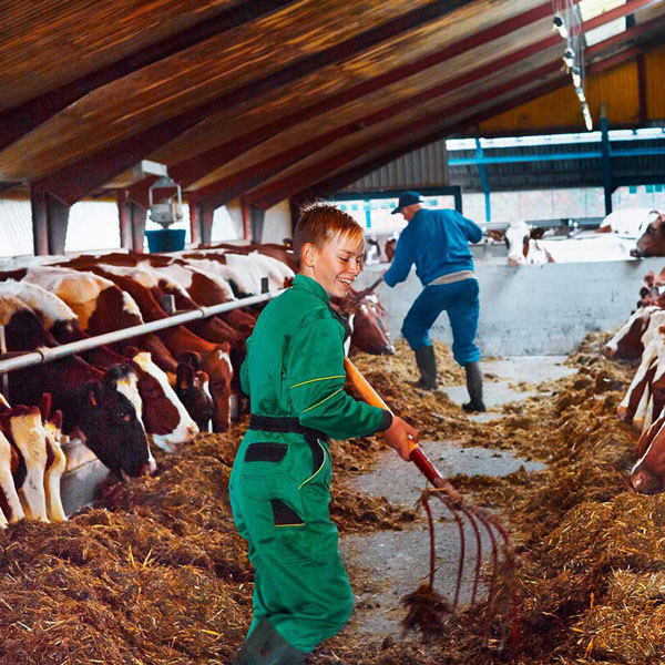 Farm Quality Programme