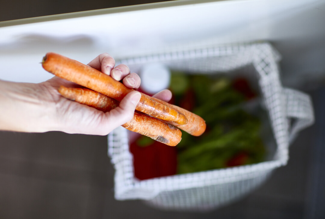 Food Waste