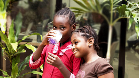 Bringing you the best dairy products