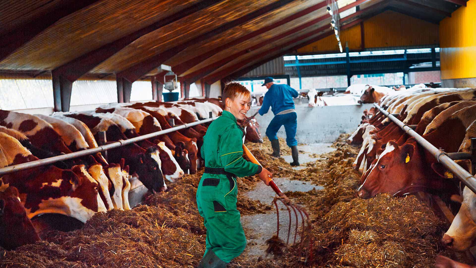 We believe in safe, natural and healthy dairy products