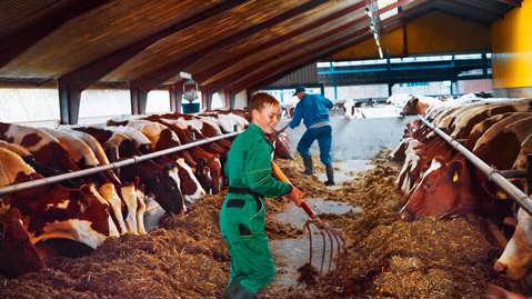 We believe in safe, natural and healthy dairy products