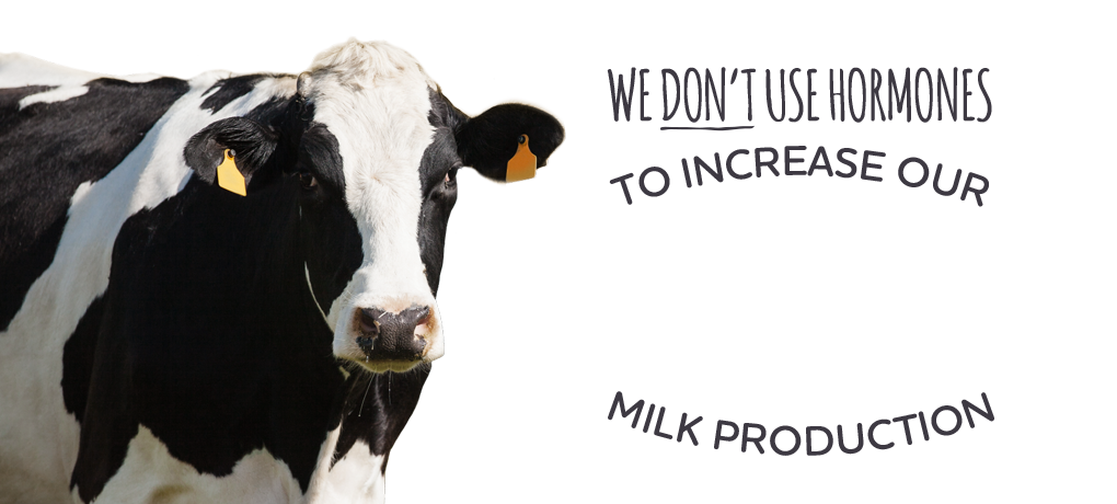 Free from antibiotics and hormones