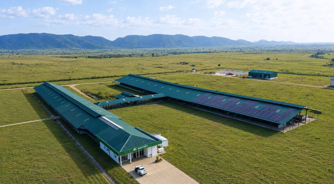 Arla-Dano Dairy Development Newsletter - Issue #11