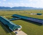 Arla-Dano Dairy Development Newsletter - Issue #11