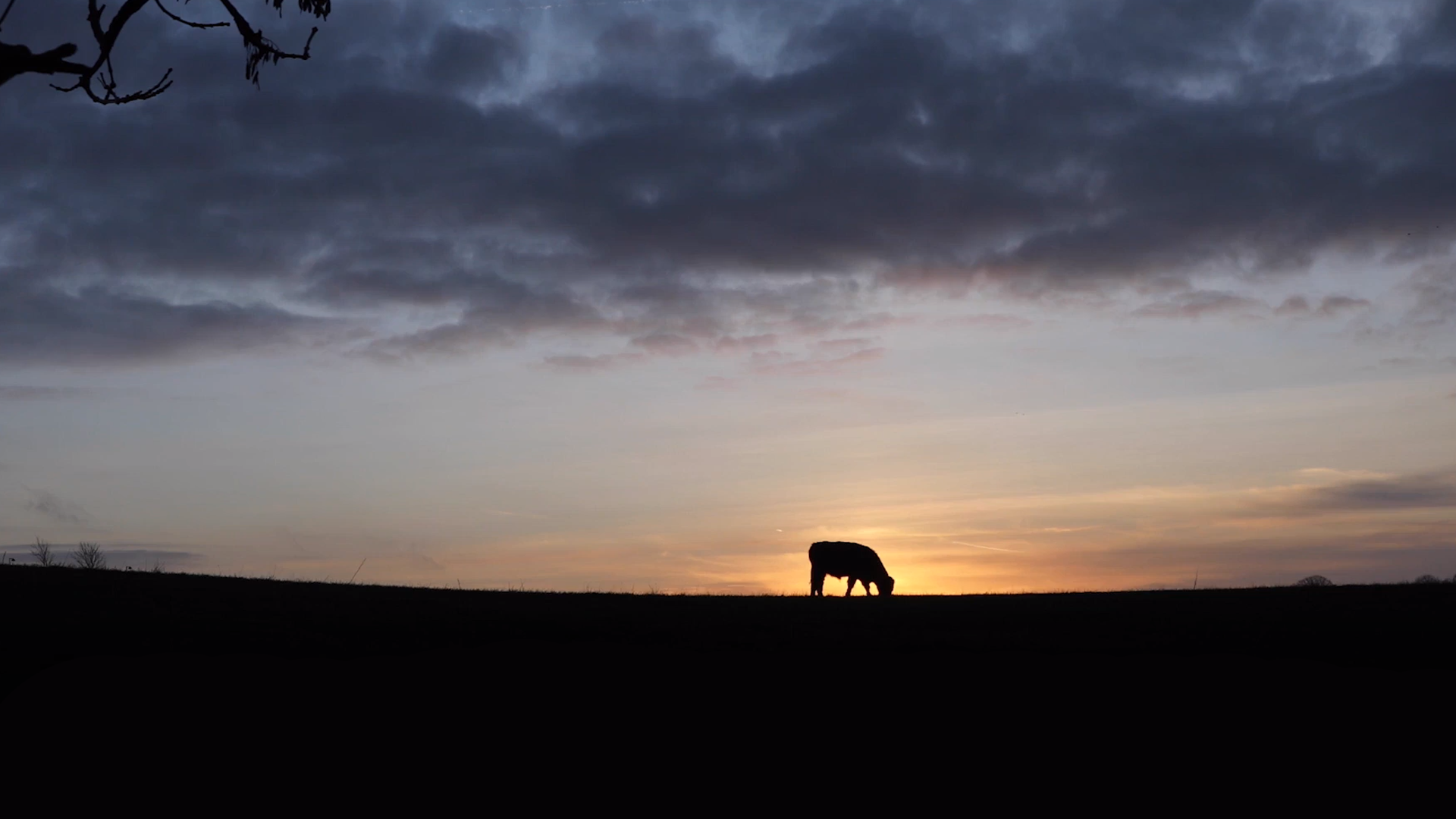 It's time to define the future of dairy