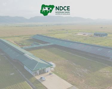 The Nigerian Dairy Centre of Excellence
