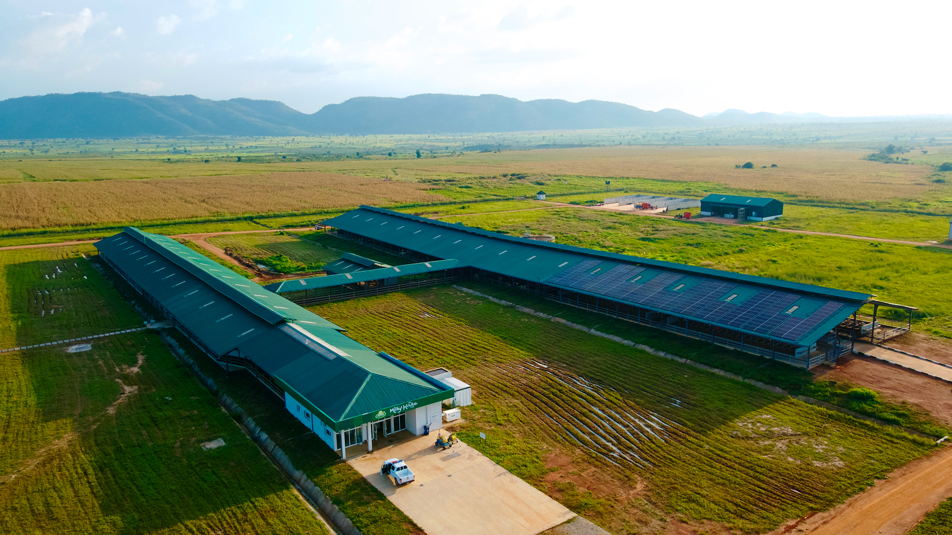 Arla Dairy Development Newsletter - Issue #9