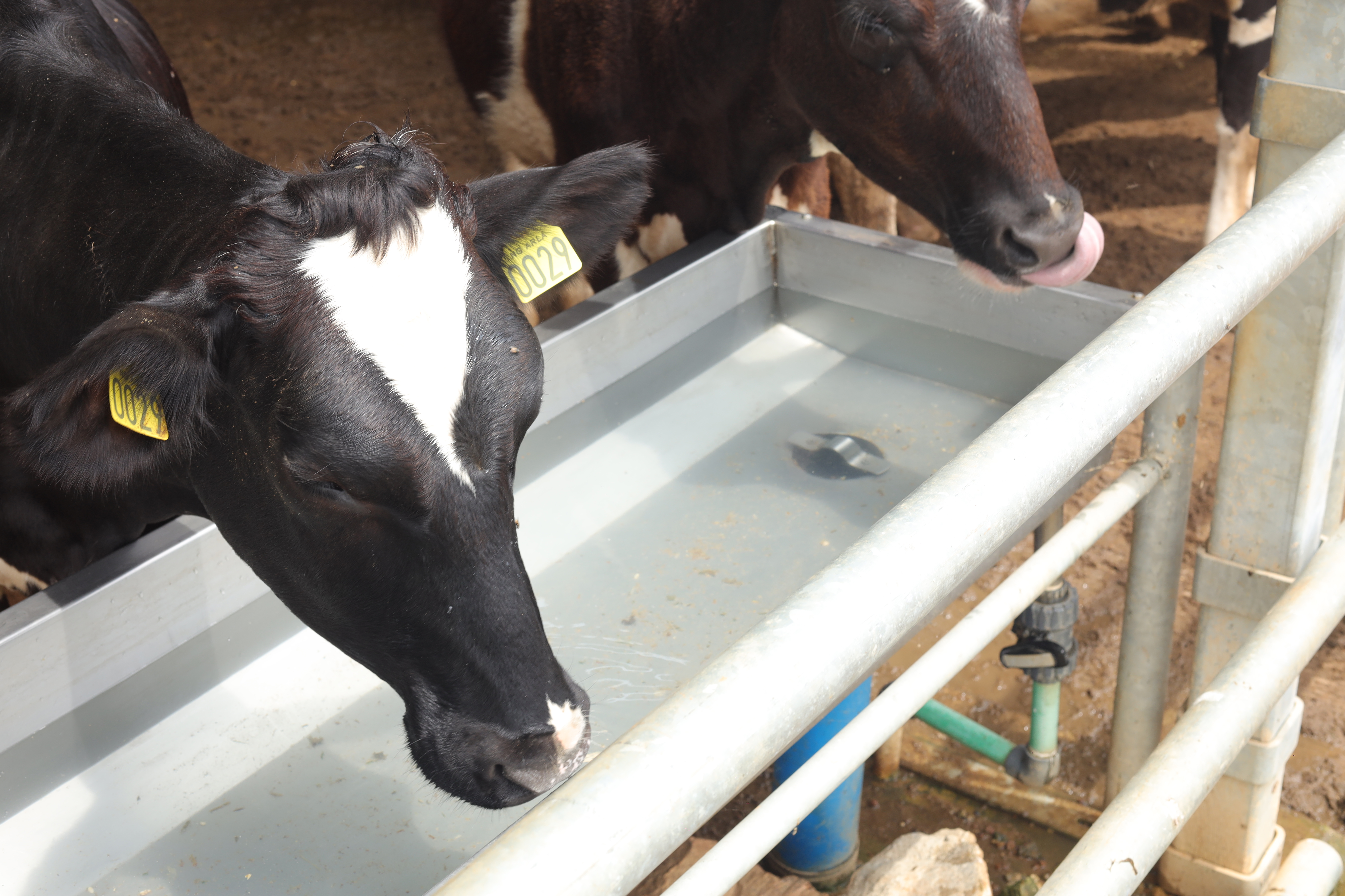 Arla Dairy Development Newsletter - Issue #3